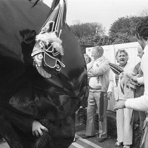 Old Oss and teaser, people looking