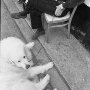 Edward Prynn Book launch 17