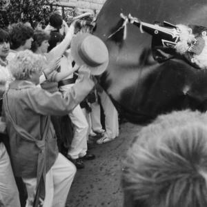 people watching oss at 10 o'clock