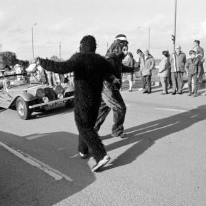 people in costumes in road