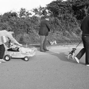 child's cart with dog