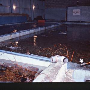 Lobster hatchery