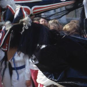 Children's Oss, Old Oss Snappers biting someone's arm