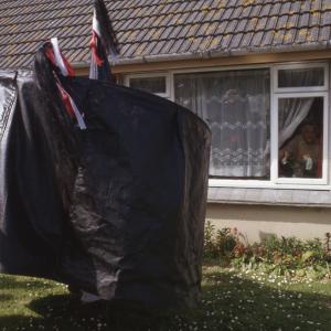Old Oss on front lawn of someone's house, with woman looking out through window