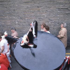 Old Oss walking along road with locals