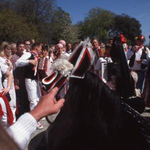 Old Oss snappers close up at Prideaux Place