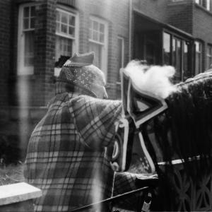 woman stroking old oss