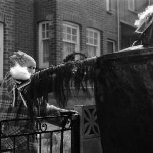 woman stroking old oss