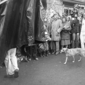 blue ribbon oss with dog underneath