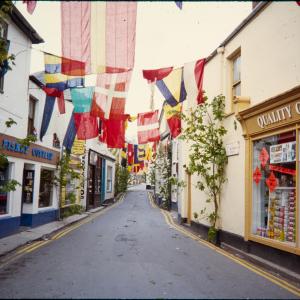 Lanadwell street decorated with flags
