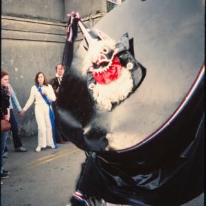 Blue Ribbon oss dancing in road