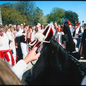 Old Oss snappers close up at Prideaux Place