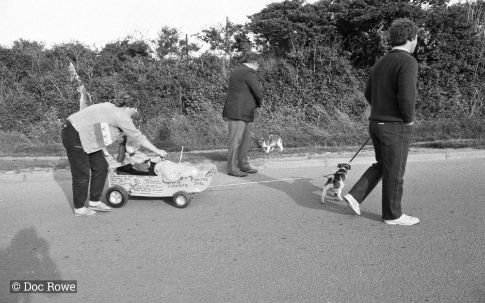 child's cart with dog