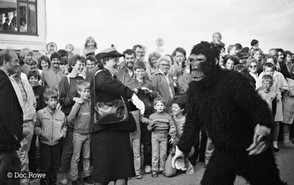 gorilla costume