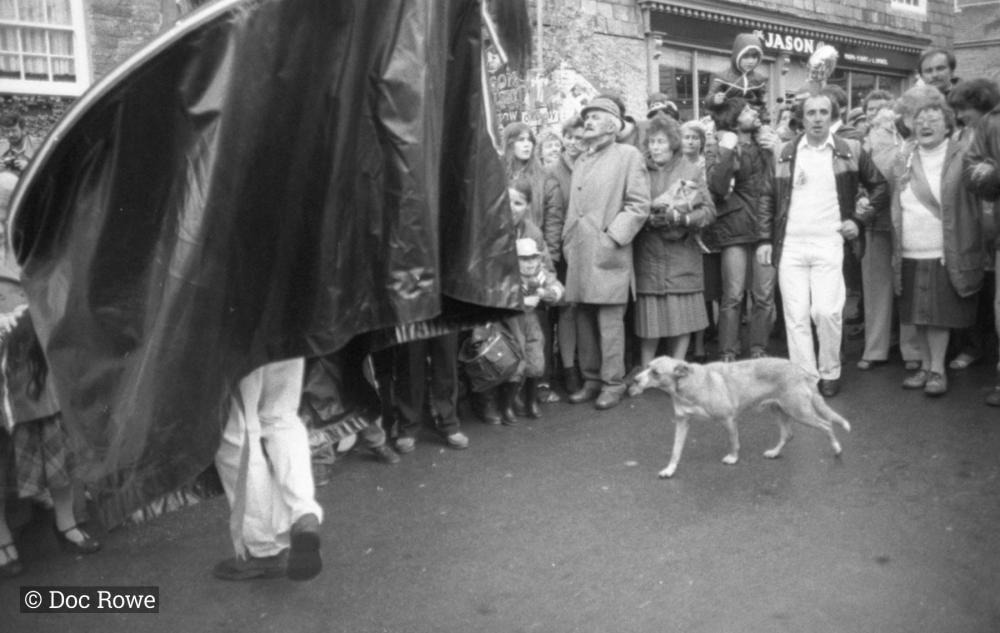 blue ribbon oss with dog underneath