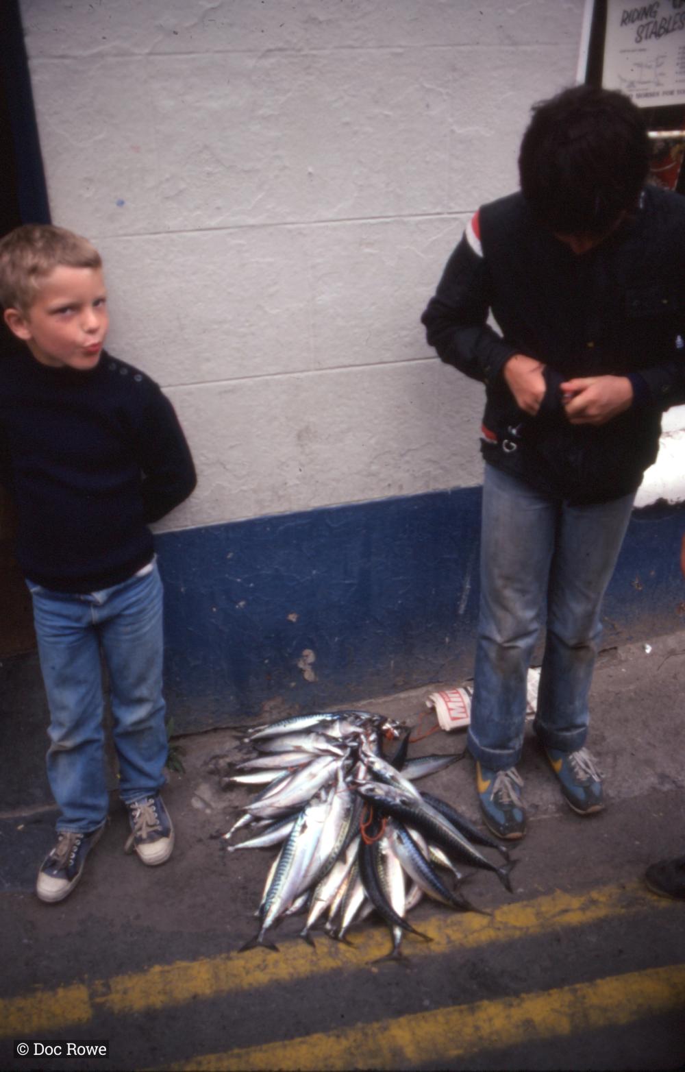 Boys with pile of mackerel