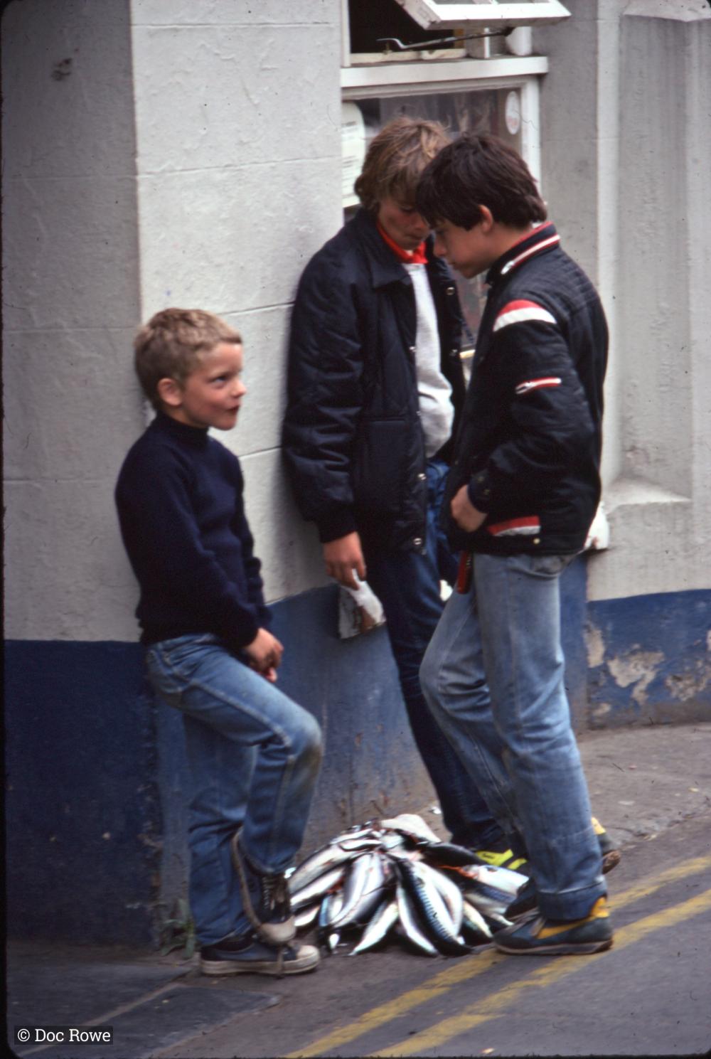 Boys with pile of mackerel