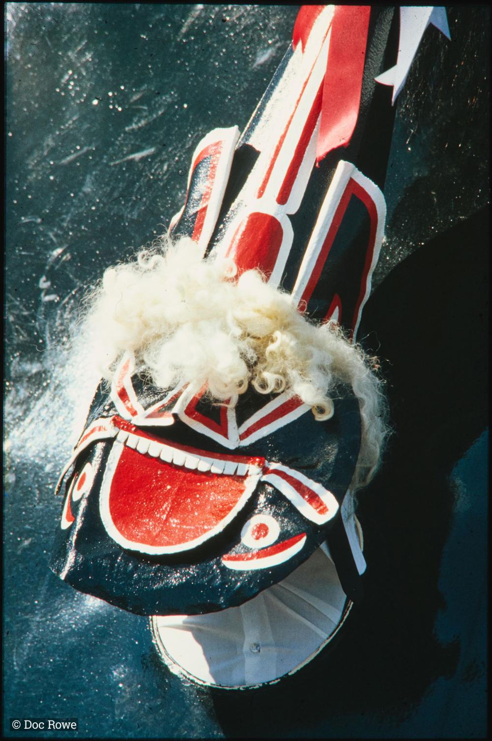 Old Oss in sunlight close up